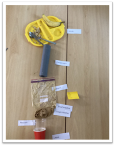 Science at Waterfield Primary