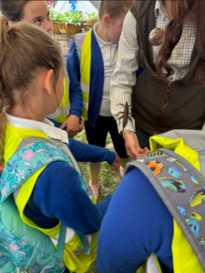South of England Show visit 2026