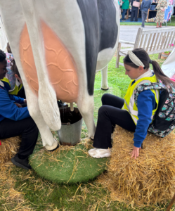 South of England Show visit 2026