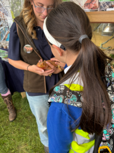 South of England Show visit 2026