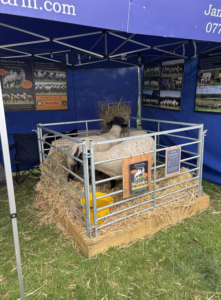South of England Show visit 2026